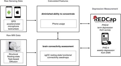 Fusing Mobile Phone Sensing and Brain Imaging to Assess Depression in College Students